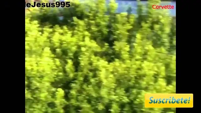 marcas de coches deportivas