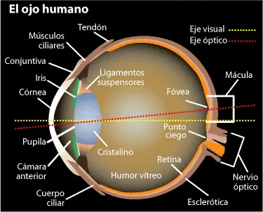 curiosidades