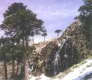 neuquen