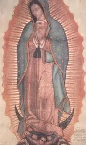 Paz y Bien