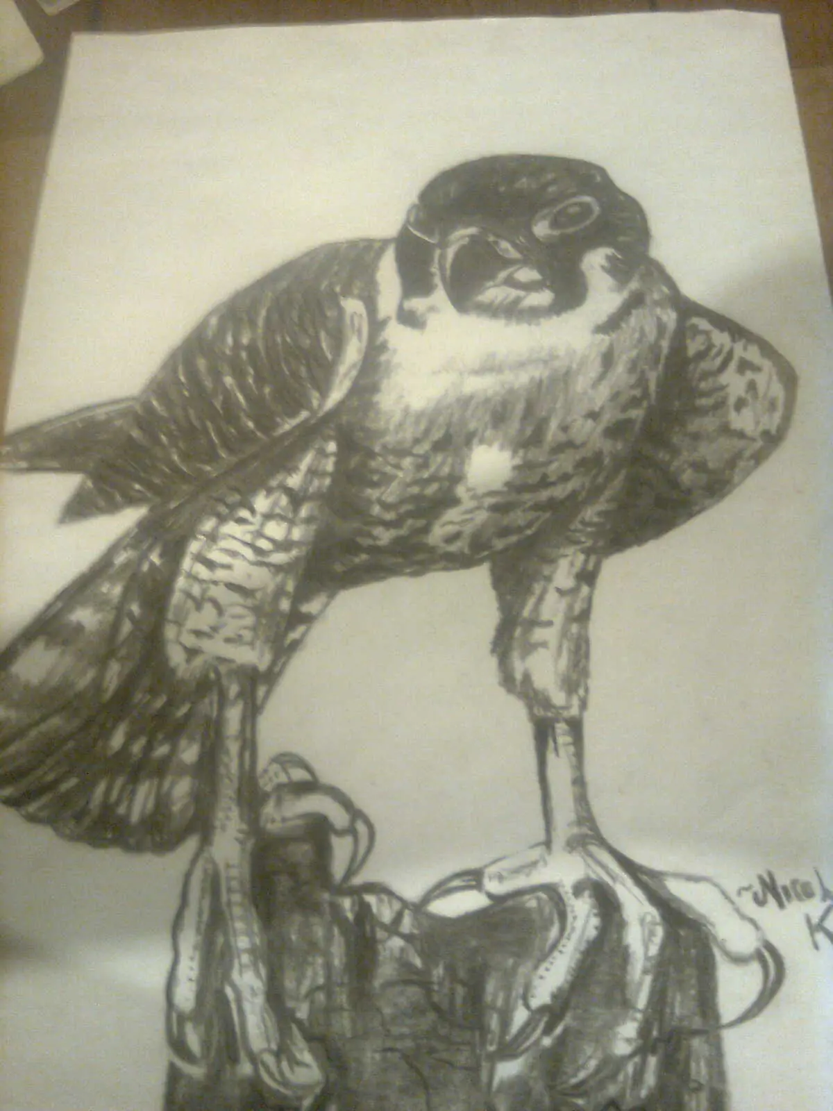 arte