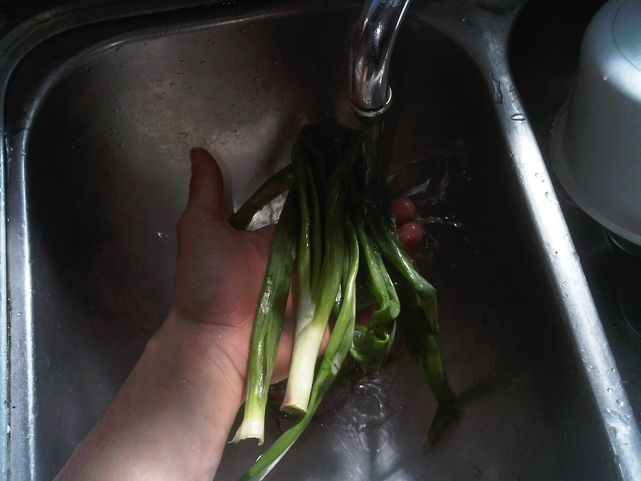 como hacer sopa