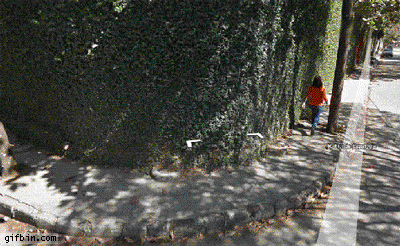 Gifs