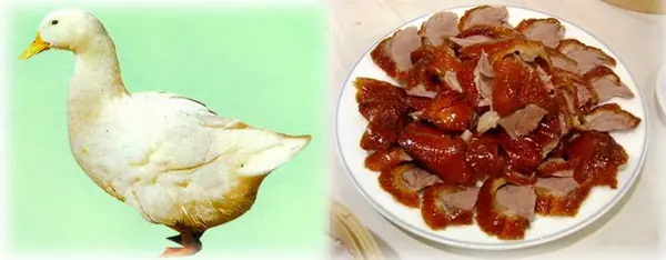 dieta