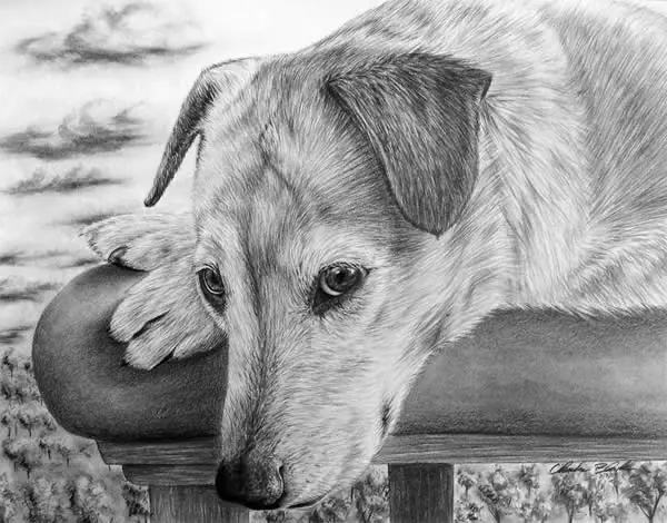200 Dibujos Impresionantes a Lapiz a ByN/Color!(MegaPost)