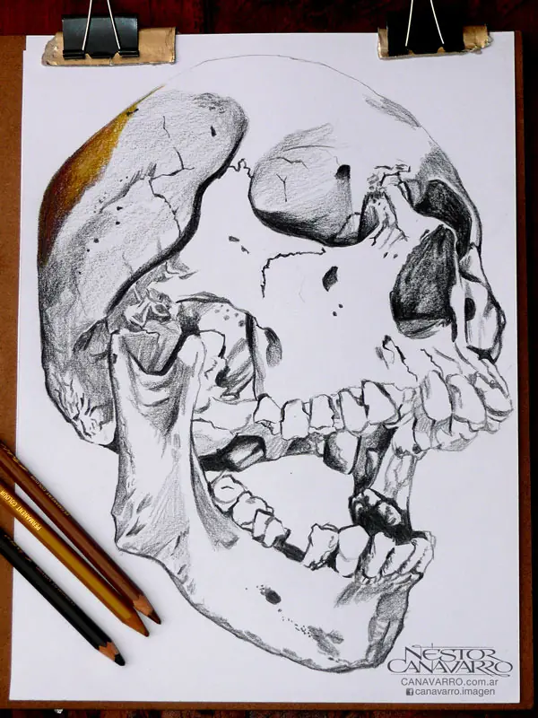 ilustracion