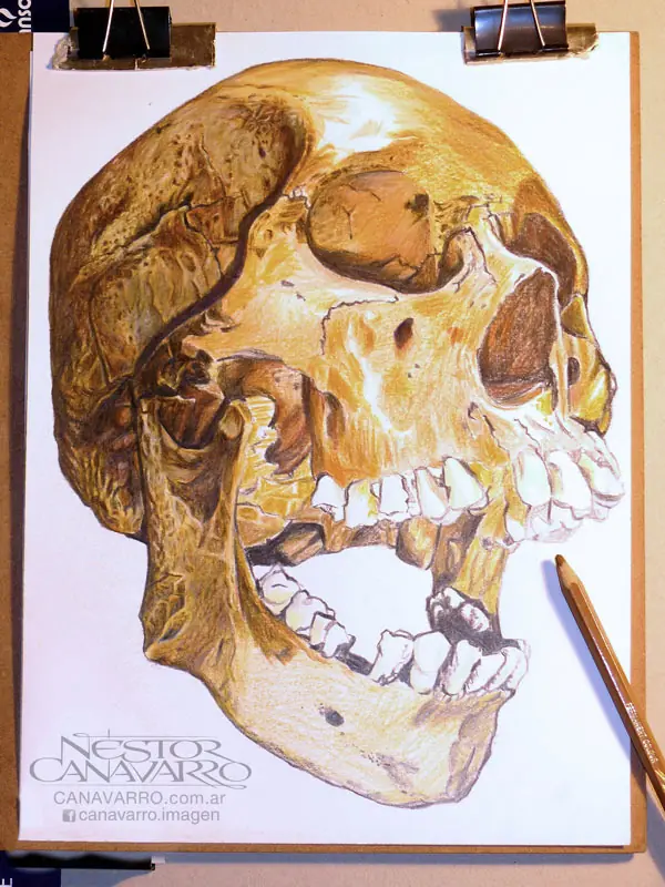 calavera