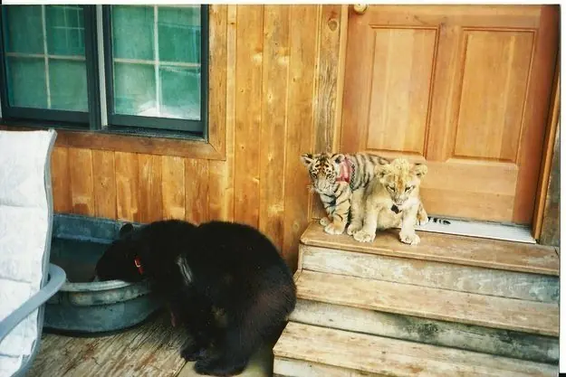 Un trio increible.