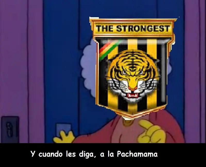copa libertadores