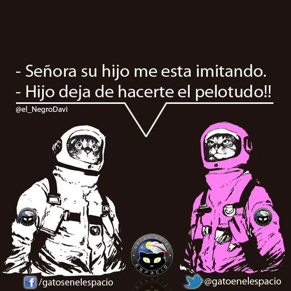Gatos en el espacio (100 imágenes) Parte 7