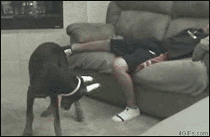 Gifs