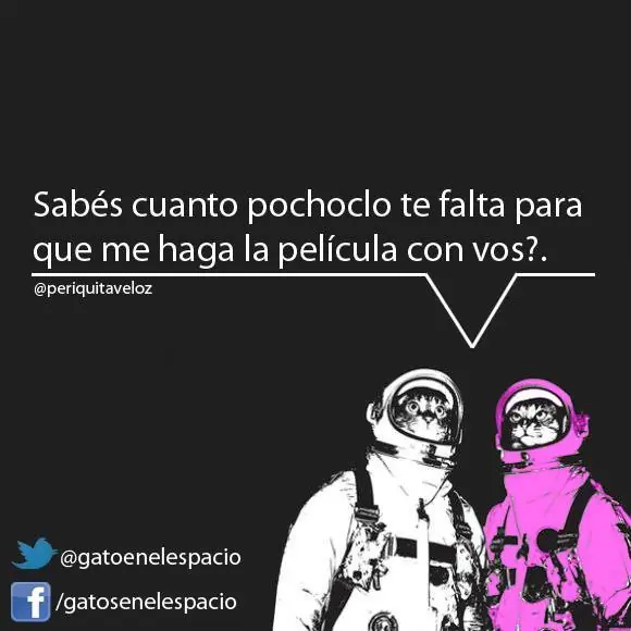 Gatos en el espacio (100 imágenes) Parte 7