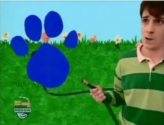 steve