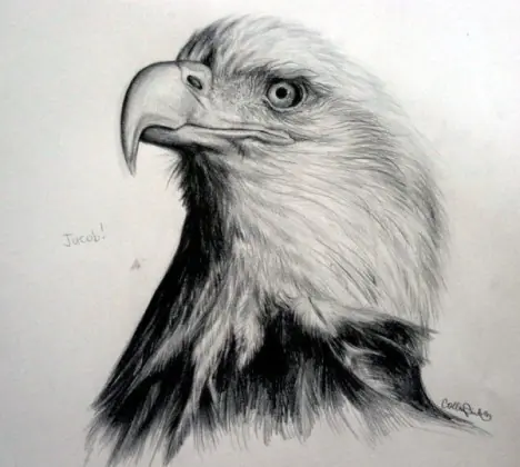 200 Dibujos Impresionantes a Lapiz a ByN/Color!(MegaPost)