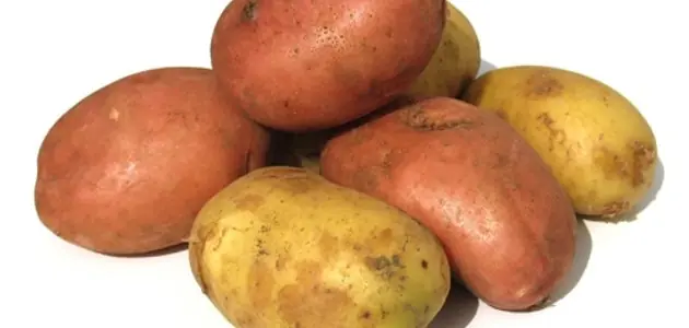 batata