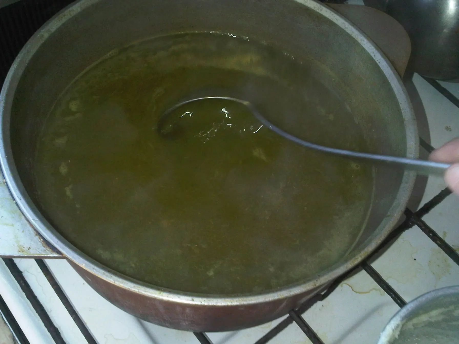 sopa