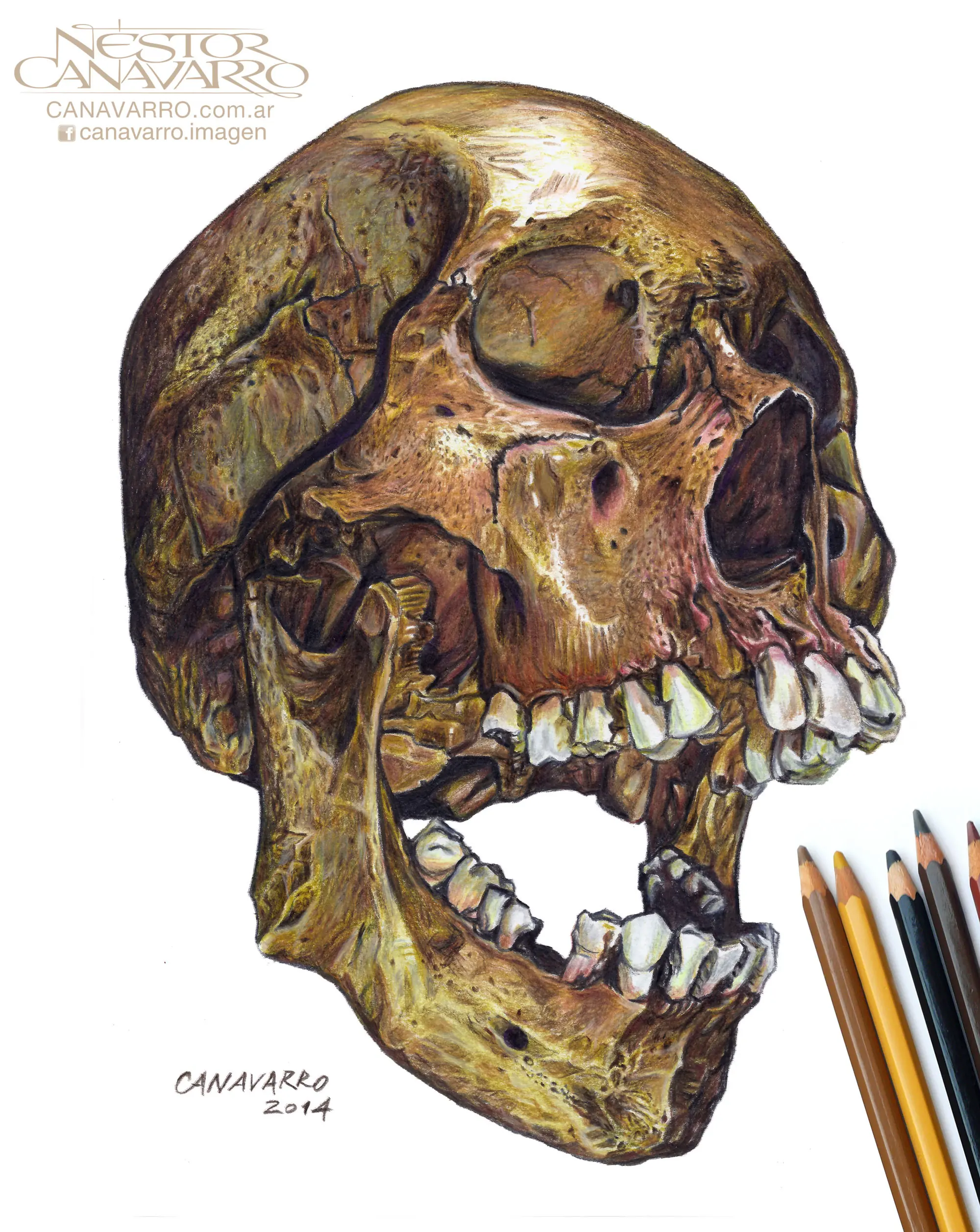 Drawing