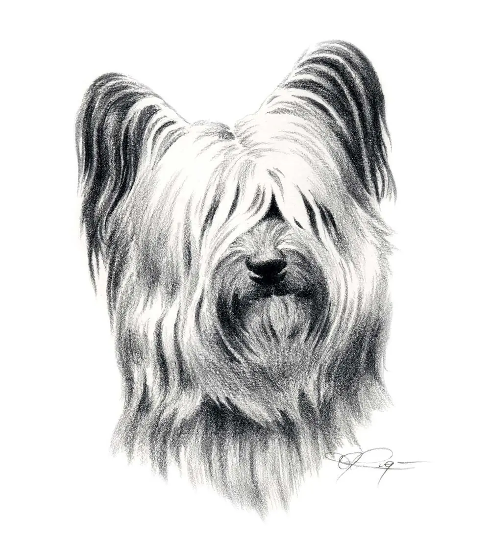 blanco y negro
