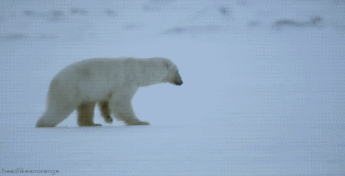 Gifs con los momentos mas incómodos