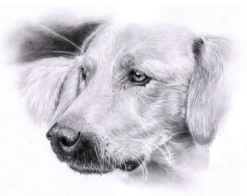 200 Dibujos Impresionantes a Lapiz a ByN/Color!(MegaPost)