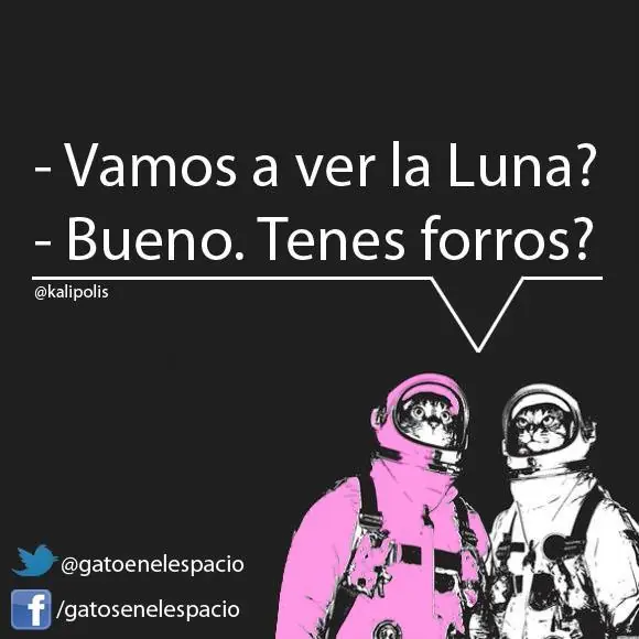 Gatos en el espacio (100 imágenes) Parte 7