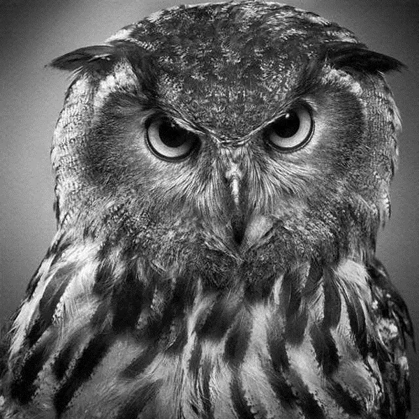 blanco y negro