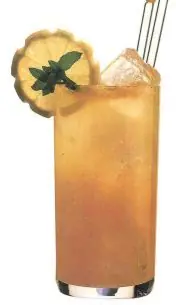 bebidas preparadas