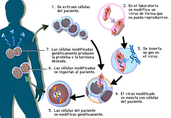 ciencia ficcion