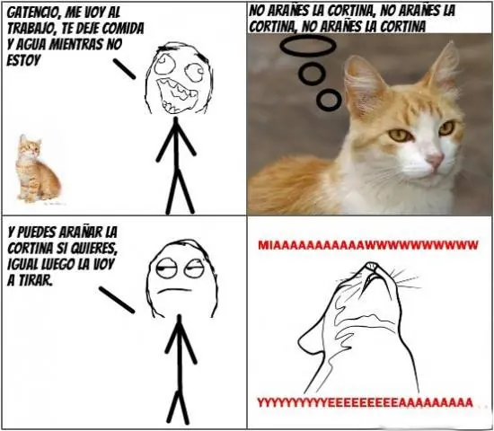 Imagenes graciosas