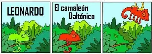 Imagen Graciosa