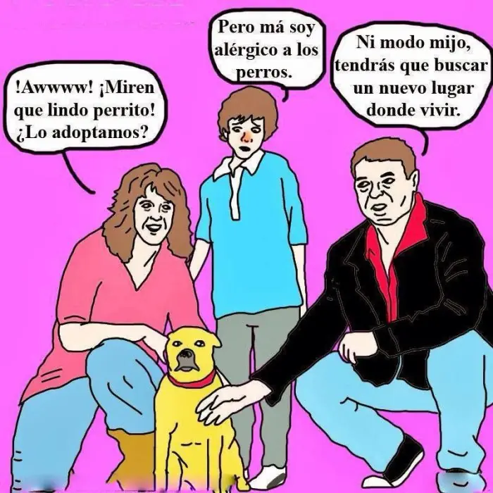 Imagen Graciosa