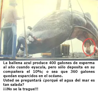 ¿Por que el mar es salado?