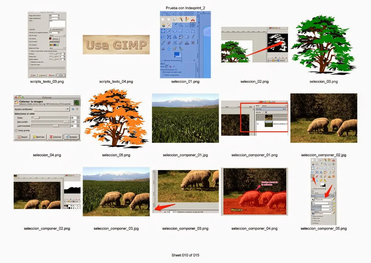 Hoja resumen de imágenes guardadas en una carpeta con gimp