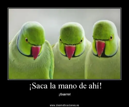 imagenes