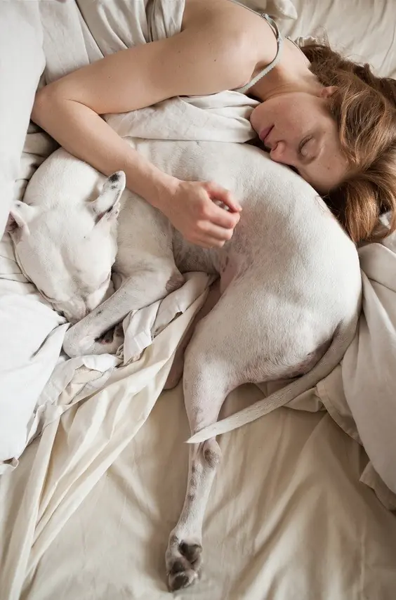 Durmiendo con tu mascota