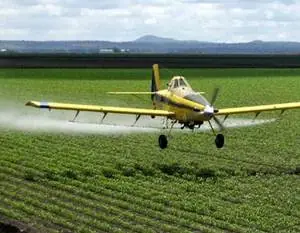 Planteo de los damnificados por la aplicación de plaguicida