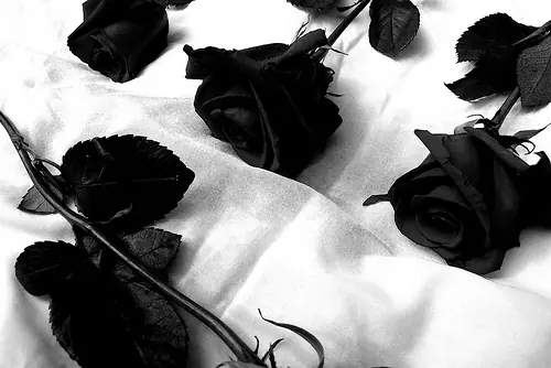 Penosa Partida (Poema/Escrito)
