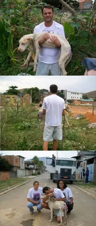 enfermos