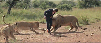 Brics