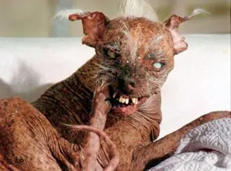 animales raros