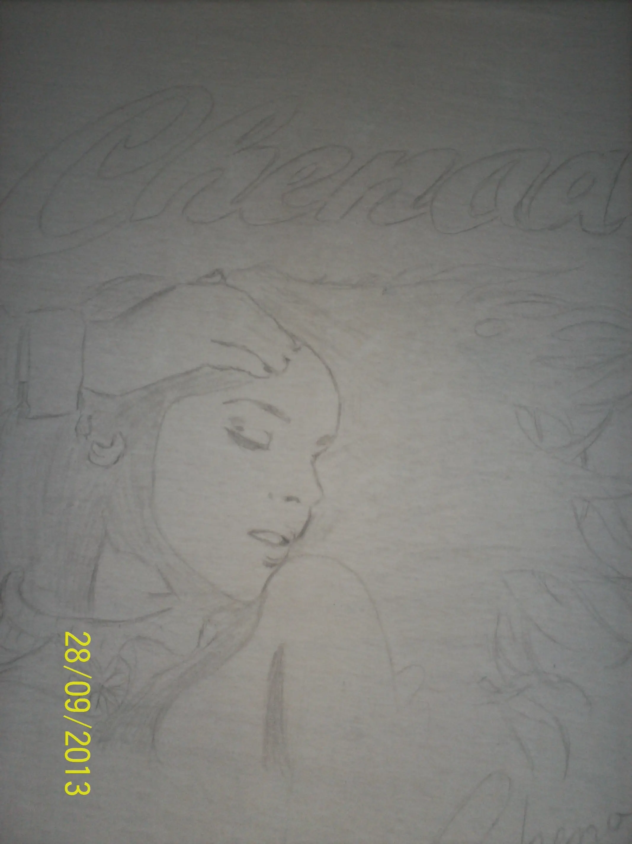 Remera pintada a mano de Chenoa