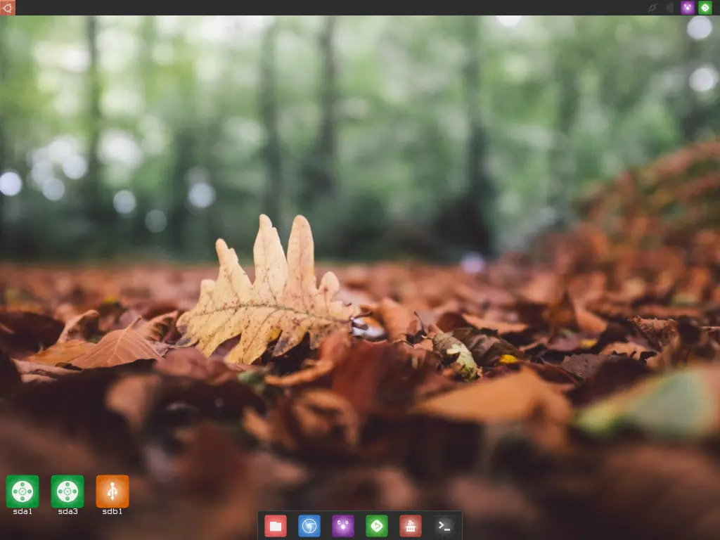 puppy linux pupjibaro (mi desktop)