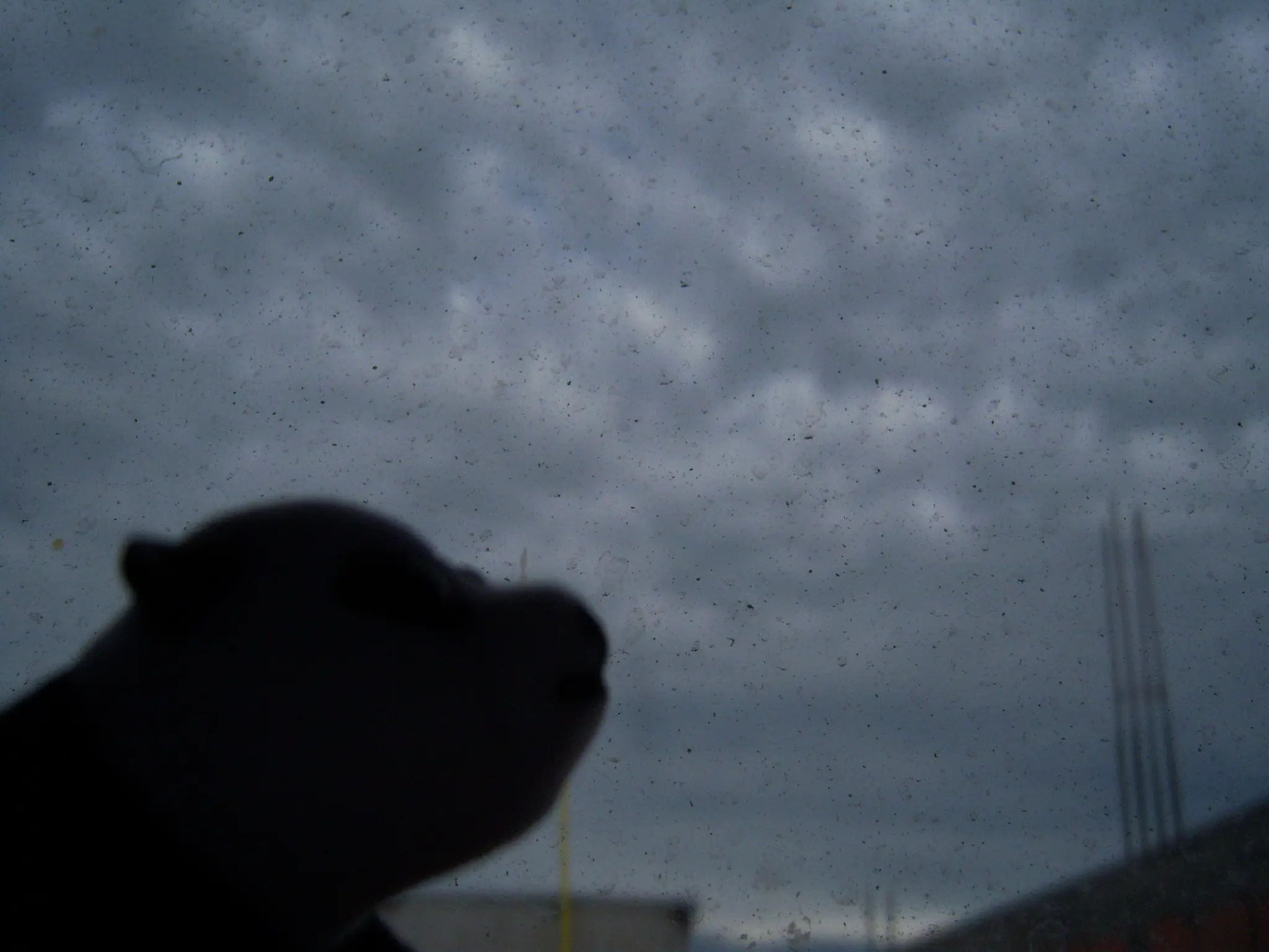 Fotos del mundo Kinder