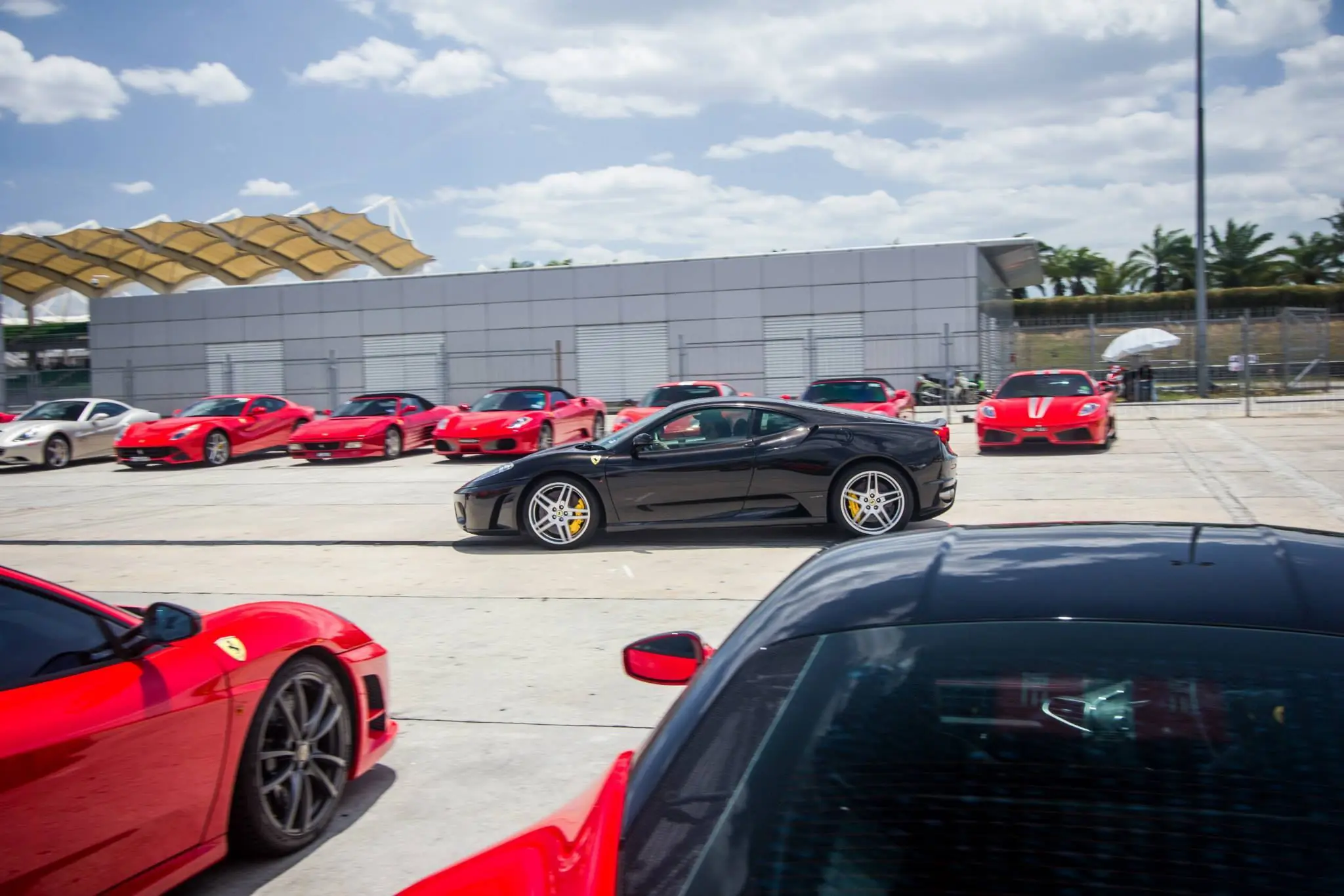 Ferrari (nueva galeria de imagenes)