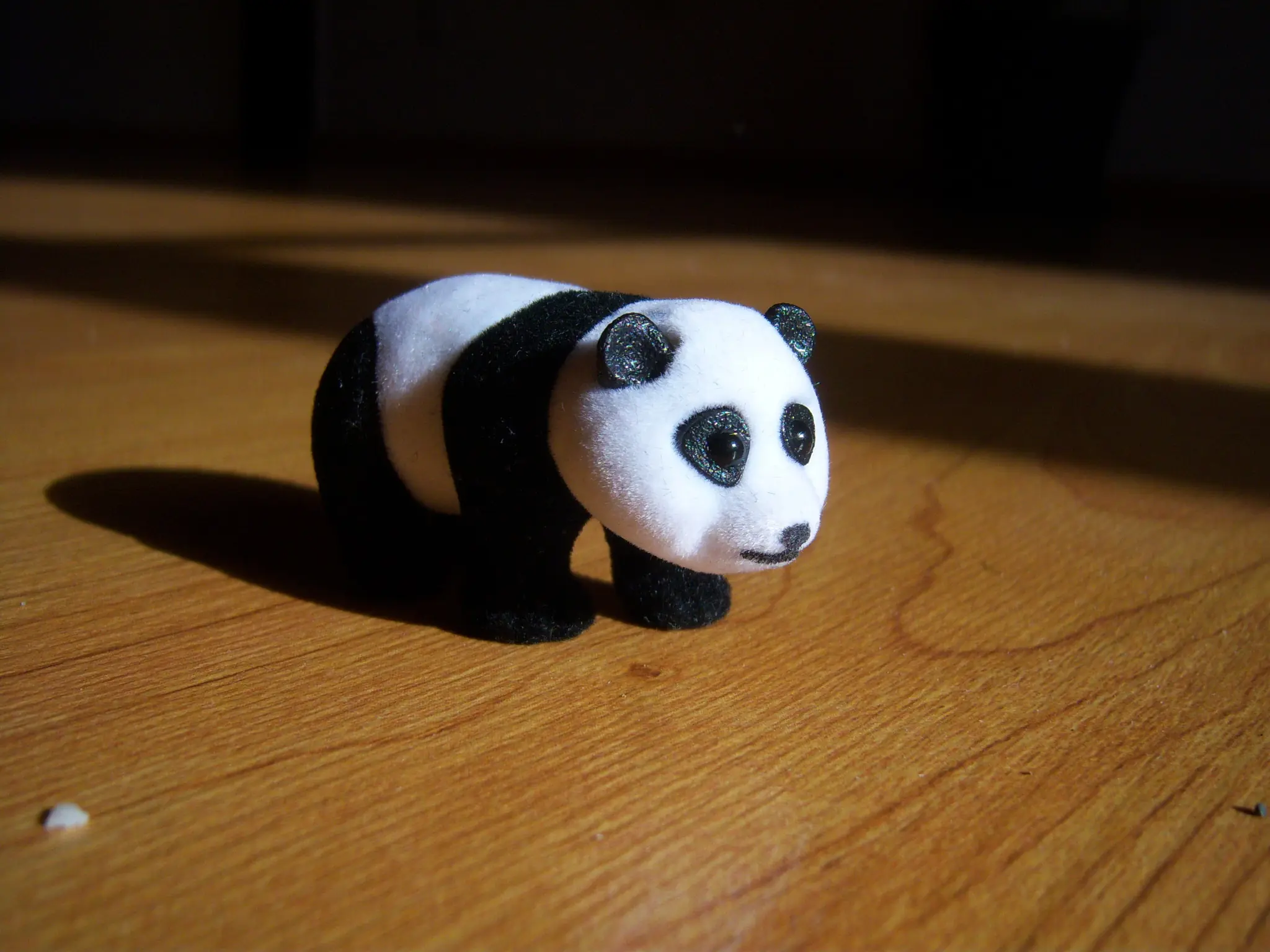 Fotos del mundo Kinder