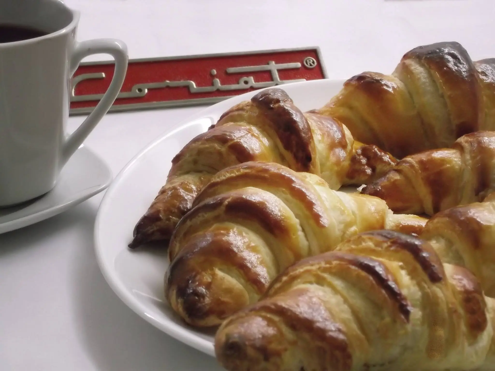 Comencé a Fotografiar mis Platillos