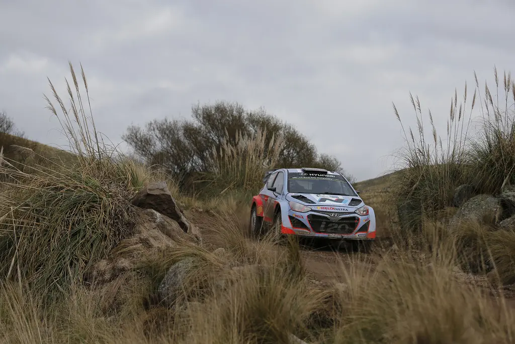 Rally Argentina