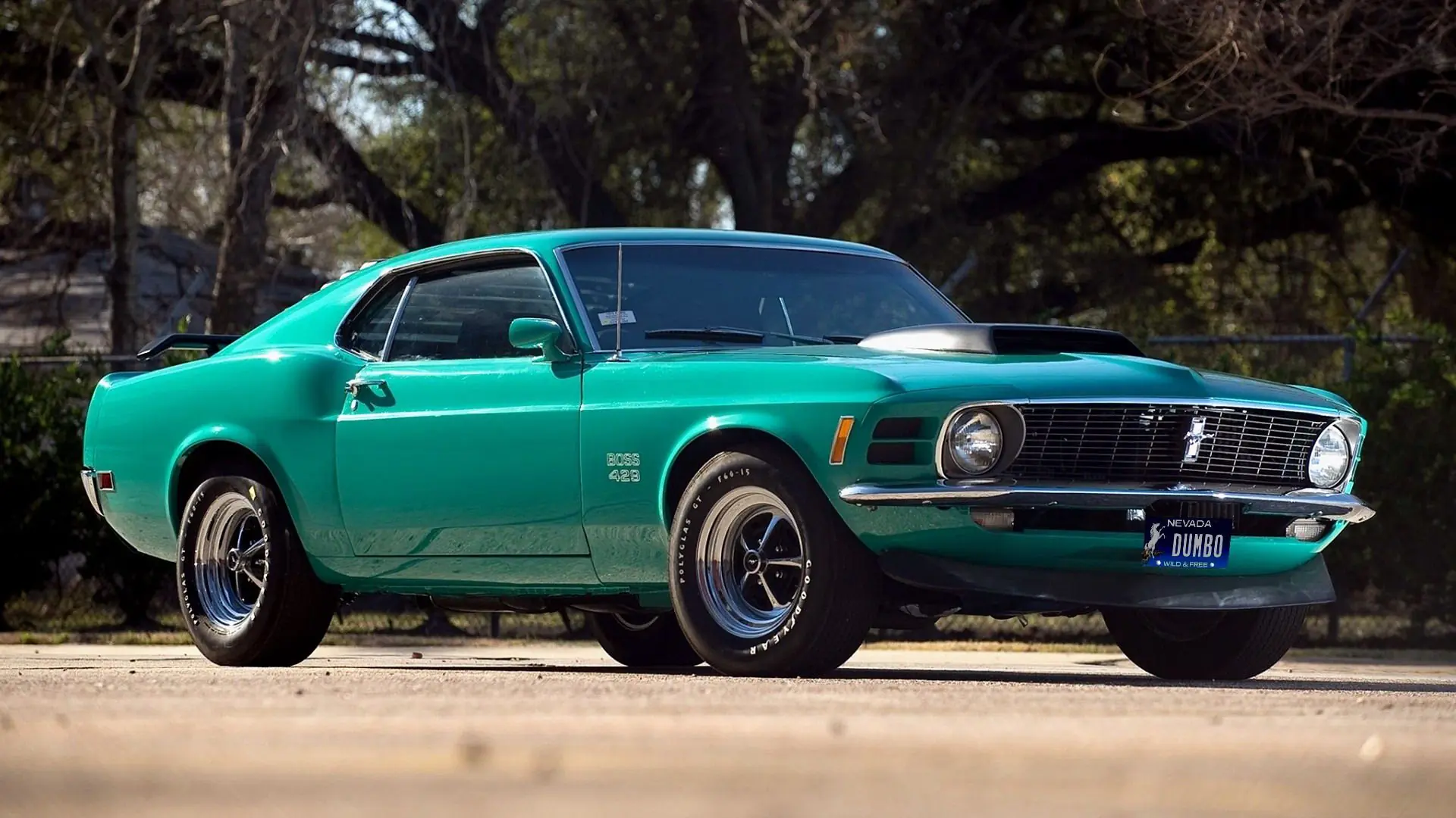 Mustang
