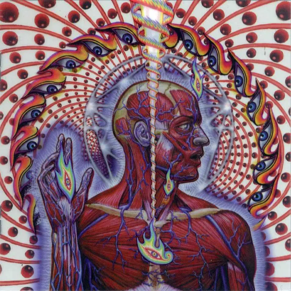 Te gusta TooL? La Capilla de los espejos sagrados
