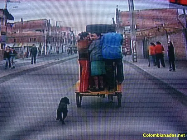 solo en